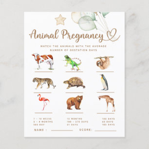 Papier Grossesse d'animal bébé ours Baby shower jeu