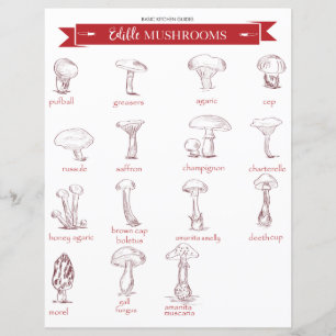 Papier Guide cuisine : Champignons comestibles
