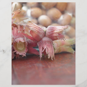 Papier Hazelnuts.JPG