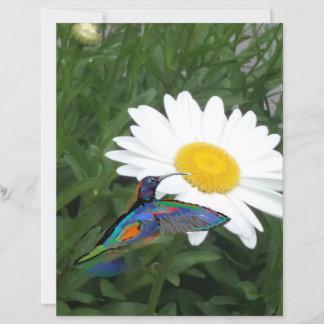 Papier Hummingbird themed Scrapbook paper