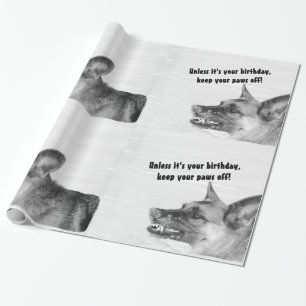 Papier humoristique d'emballage cadeau de berger