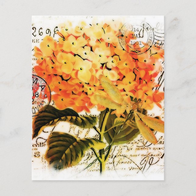 Papier Hydrangea orange (Devant)