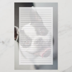 Papier Images Getty   French Bulldog
