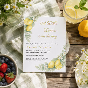 Papier Invitation à une baby shower de jardin d'été au ci