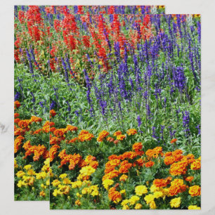 Papier Jardin Fleur Coloré En Été Scrapbook