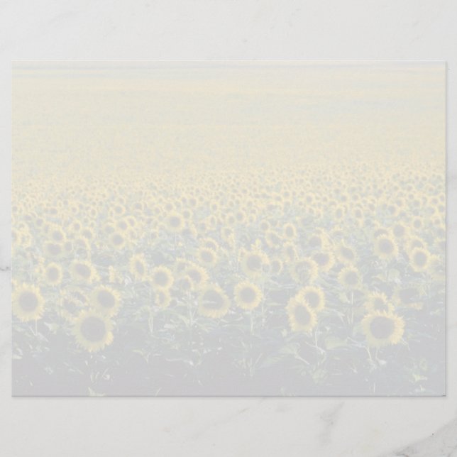 Papier jaune Un terrain de tournesol en Espagne fleurs (Devant)
