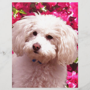 Papier Joli caniche