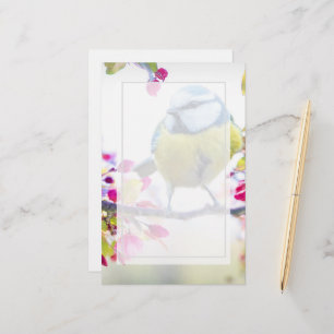 Papier Joli oiseau bleu et jaune sur une branche Photogra