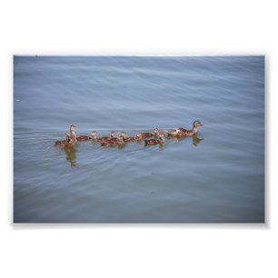 Papier Kodak photo 6x4