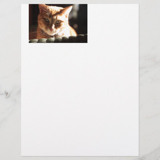 Papier Kute Kitty ! (Devant)