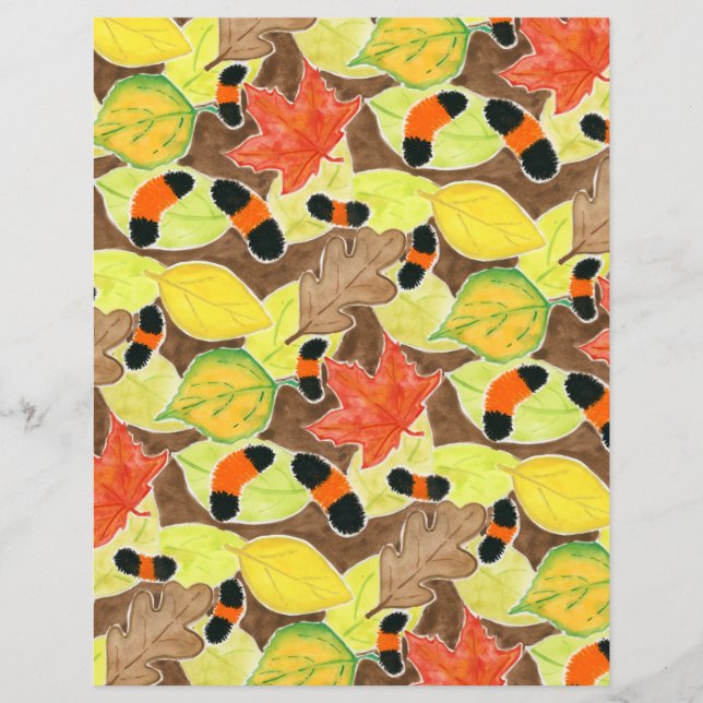 Papier La chenille de Woollybear (Devant)