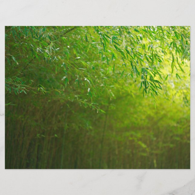 Papier La forêt de Bambou (Devant)