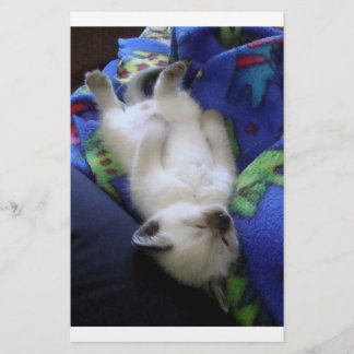 Papier Lazy Cat