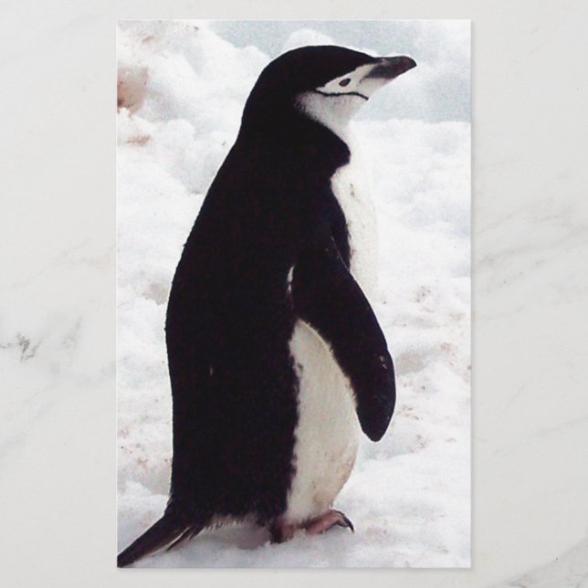 Papier Le Pingouin Le Plus Cutest, Jamais (Devant)