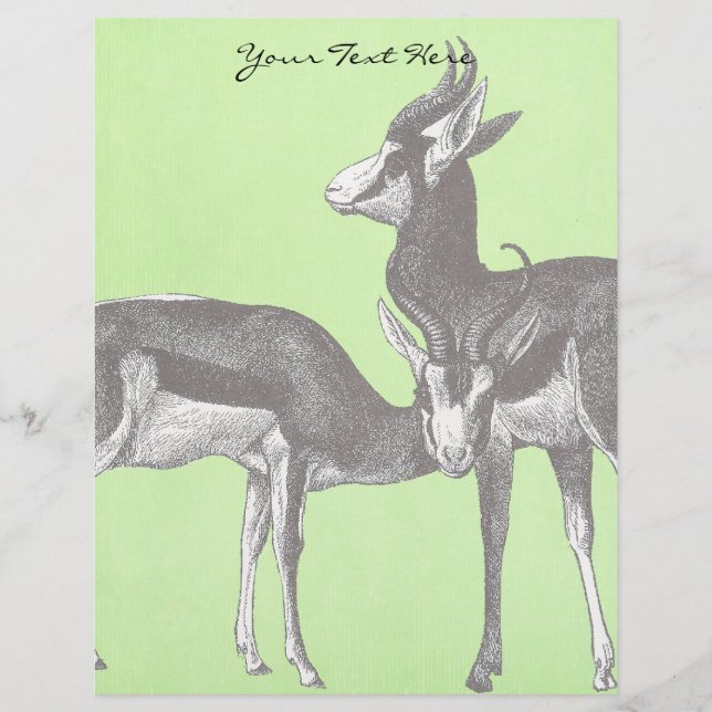 Papier Letterhead Springbok (Devant)