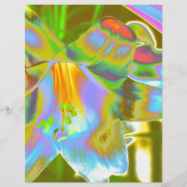 Papier Lili (Devant)