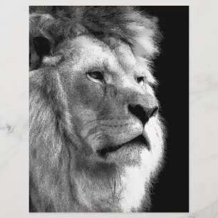 Papier Lion noir blanc