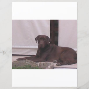 Papier Lire le laboratoire de chocolat LR pose