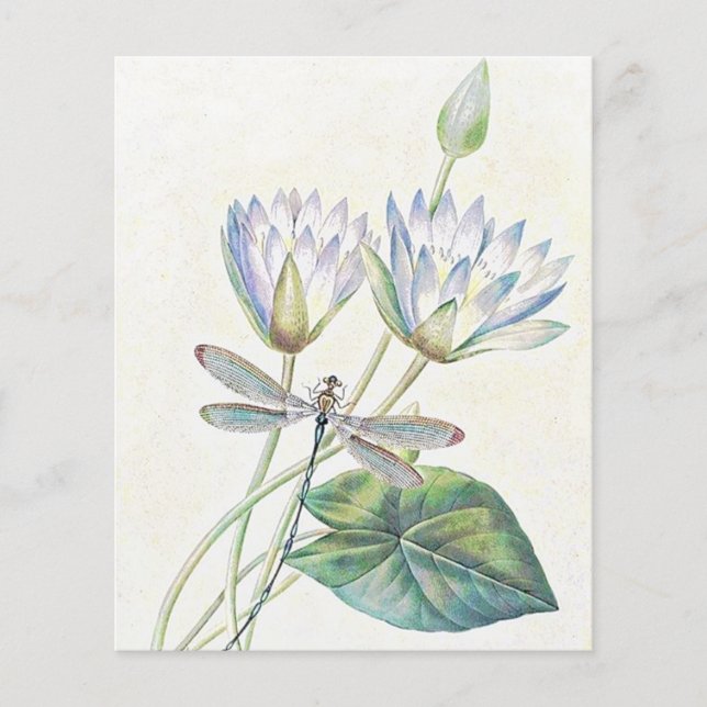 Papier Lotus et libellule (Devant)