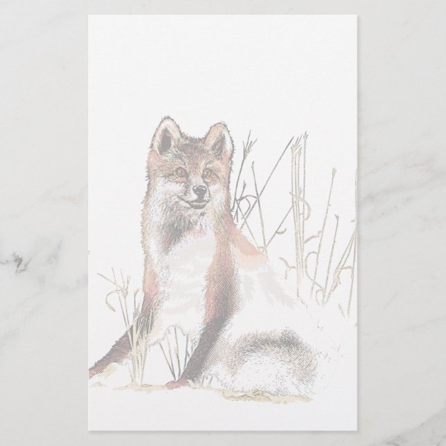 Papier Loup d'hiver (Devant)