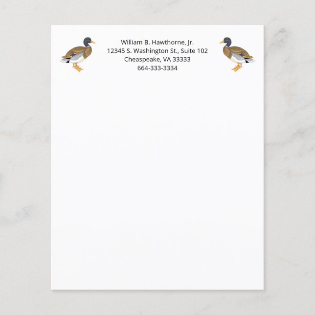 Papier Mallard Canard Oiseau Nature Animaux sauvagine Hom (Devant)