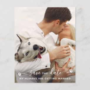 Papier Mariage de chien photo animal Enregistrer la date 