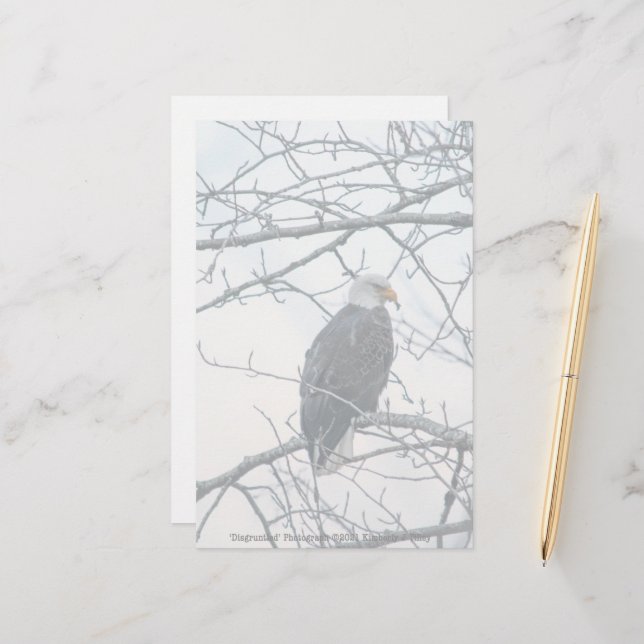 Papier mécontent (Devant/Arrière en situation)