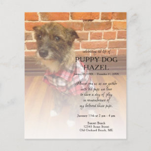 Papier mémorial de photos du côté gauche