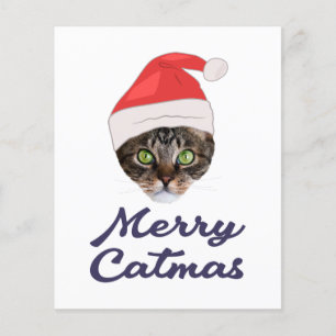 Papier Merry Catmas, Noël Chat Santa hat Invitation