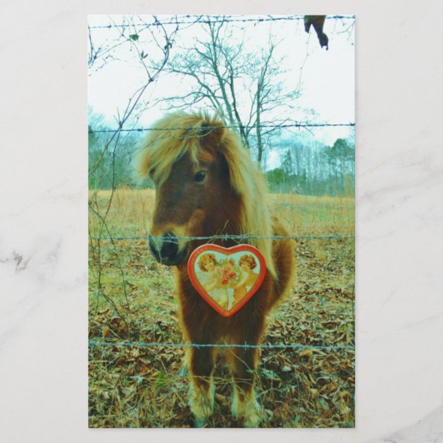 Papier Miniature cheval Brown Valentine Heart (Devant)