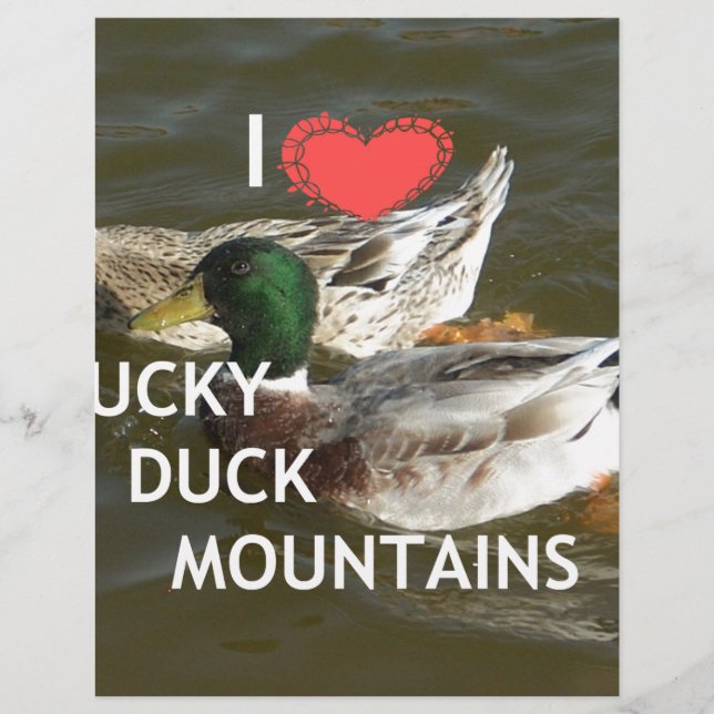 Papier Montagnes de canards. (Devant)