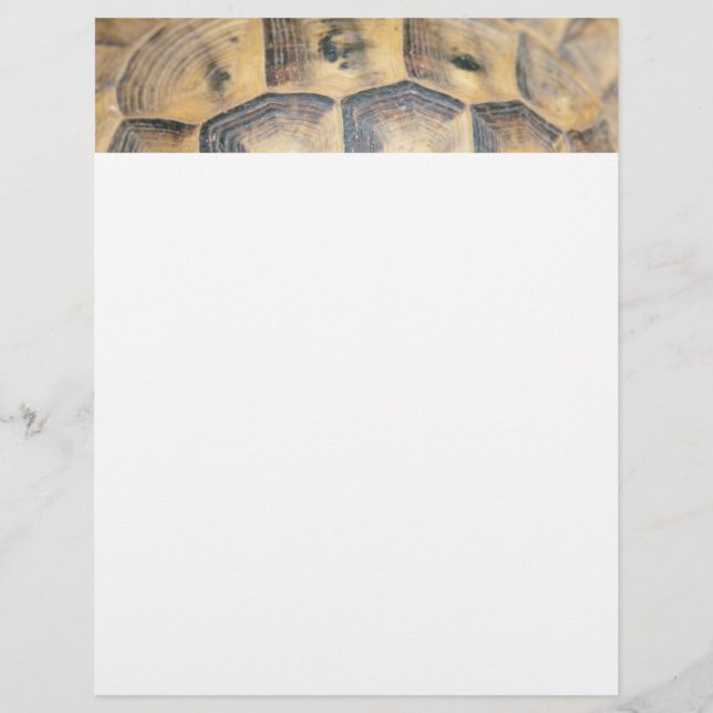 Papier Motif Tortoise Shell (Devant)