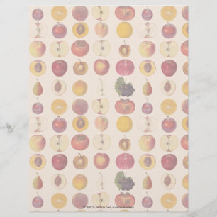 Papier Motif vintage de fruits