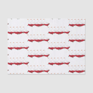 Papier Mousseline 12 Jours de Noël 6 pontes auriculaires d'oies