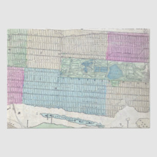 Papier Mousseline 1870 Carte New York City Central Park
