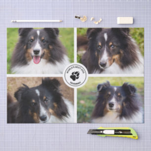Papier Mousseline 4 Photos personnalisées pour animaux de compagnie 