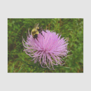 Papier Mousseline Abeille sur Fleur de Chardon Nature