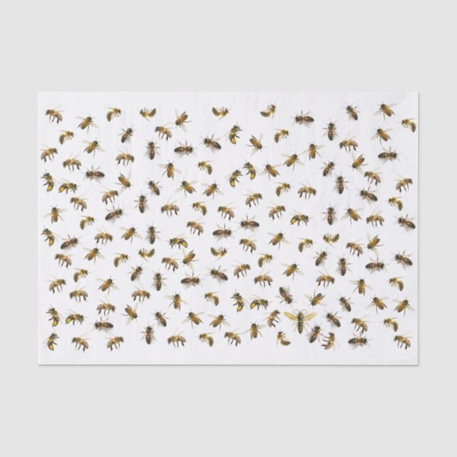 Papier Mousseline Abeilles ouvrières et enveloppes et découpage de l (Recto)
