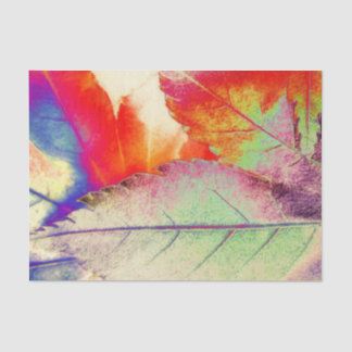 Papier Mousseline Abrégé sur érable