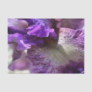Papier Mousseline Abstrait Striking Purple, Violet et Mauve Iris
