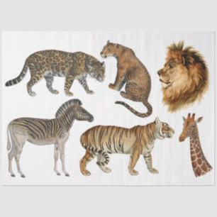 Papier Mousseline Afrique Animaux sauvages Lion Léopard Découpage Vi