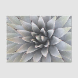 Papier Mousseline Agave Succulent Plante Cactus Vert sauge
