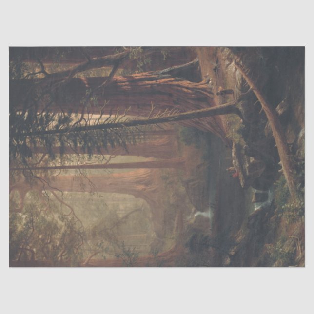 Papier Mousseline Albert Bierstadt Redwood Trees géant de Californie (Recto)
