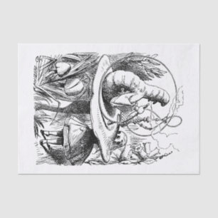 Papier Mousseline Alice au pays des merveilles - Alice rencontre
