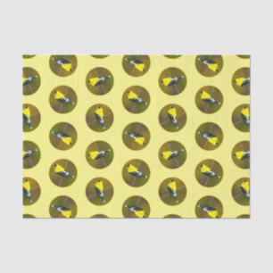 Papier Mousseline American Goldfinch Songbird Photo originale