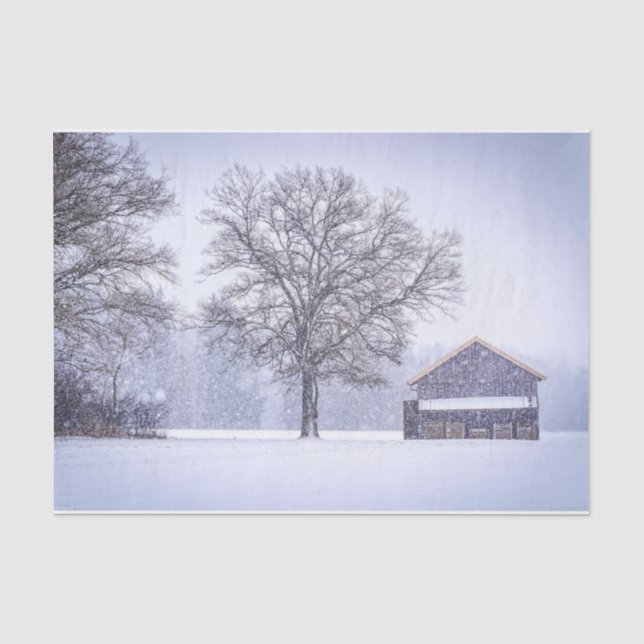 Papier Mousseline Amis - Une grange et un arbre en neige (Recto)