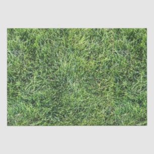 Papier Mousseline Amusante herbe verte vraie texture photo motif pla