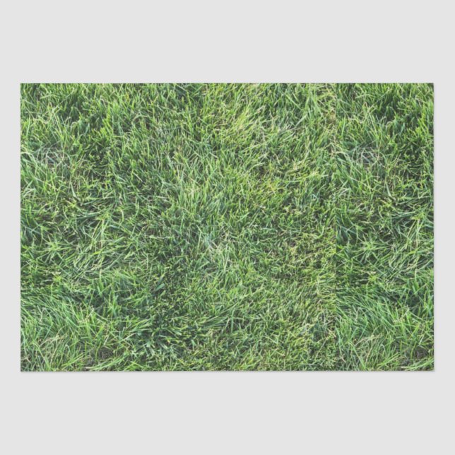 Papier Mousseline Amusante herbe verte vraie texture photo motif pla (Recto)