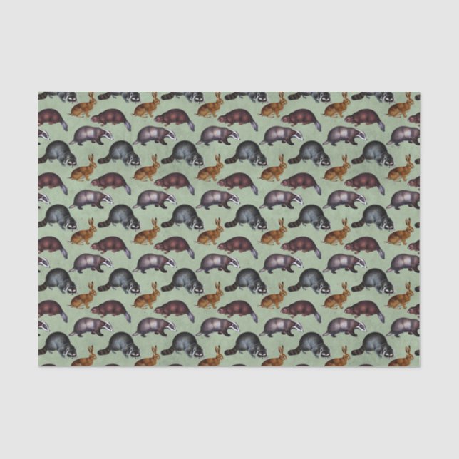 Papier Mousseline Animaux Whimsical Woodland (Recto)