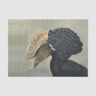 Papier Mousseline Antique Hornbill peinture d'oiseau découpage artis